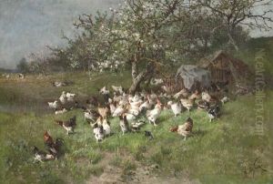 Printemps, Poules Sous Le Pommier En Fleurs