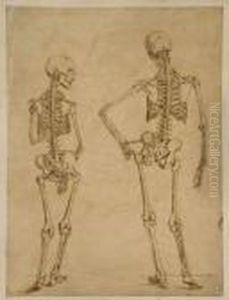 Deux Etudes De Squelette by Edgar Degas