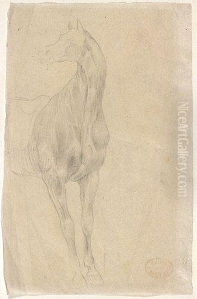 Poitrail De Cheval - view 1