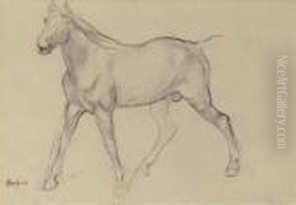 Cheval - view 1