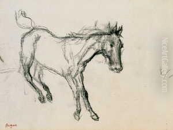 Cheval Ruant - view 1