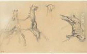 Chevaux