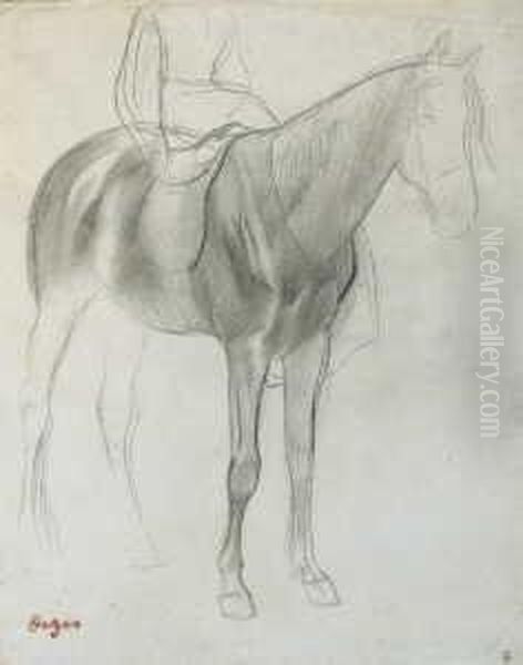 Cheval Monte Par Une Amazone - view 1