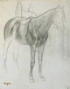 Cheval Monte Par Une Amazone
