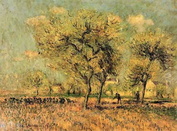 Landscape - view 1