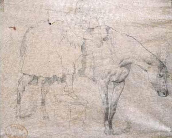 "homme Et Cheval" - view 1