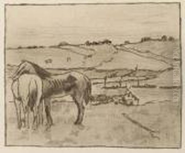 Chevaux Au Paturage - view 1