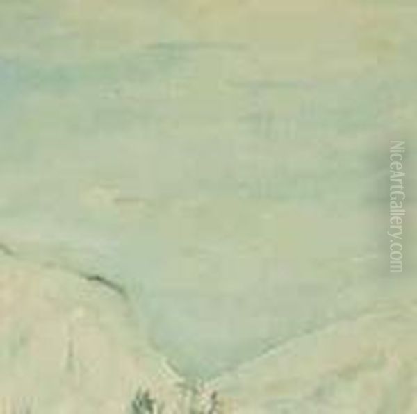 Paesaggio Innevato - view 1