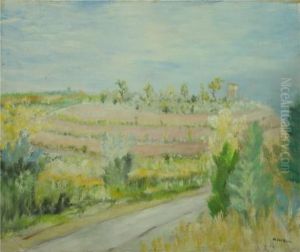 Colline Mantovane