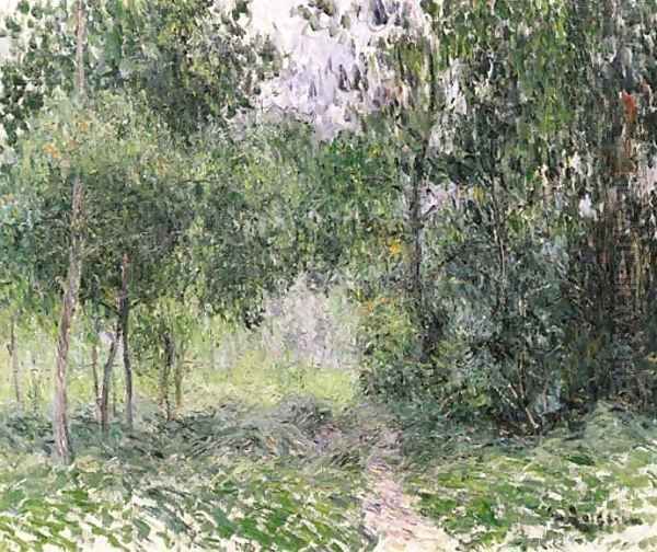 Sous bois - view 1