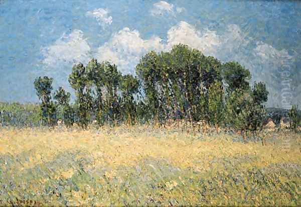 La prairie devant les peupliers - view 1