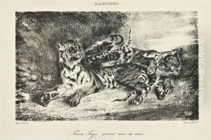 Tigre Couche Dans Le Desert