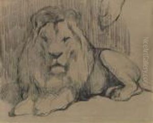Lion Au Repose