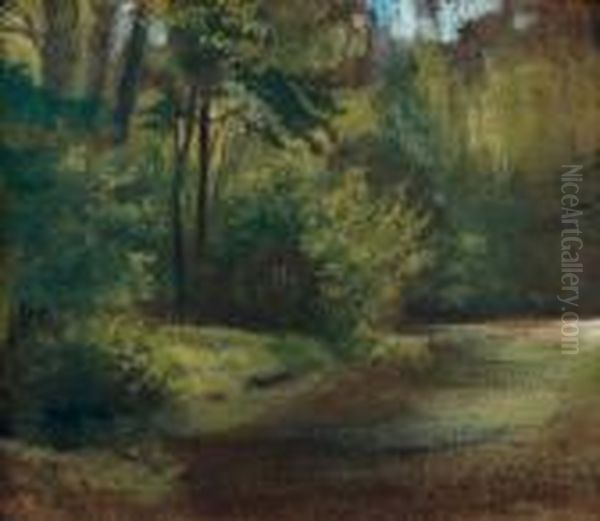 Coin De Parc, Sous-bois - view 1