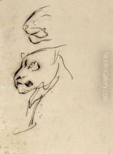 Etude D'une Tete De Tigre, Reprise Du Museau by Eugene Delacroix