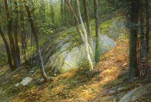 Nature's Pathway by William Lippincott