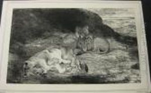 Lionne Dechirant La Poitrine D'un Arabe.
