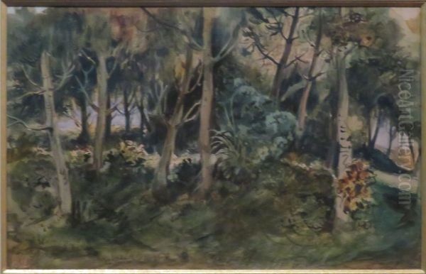 Sous-bois - view 1