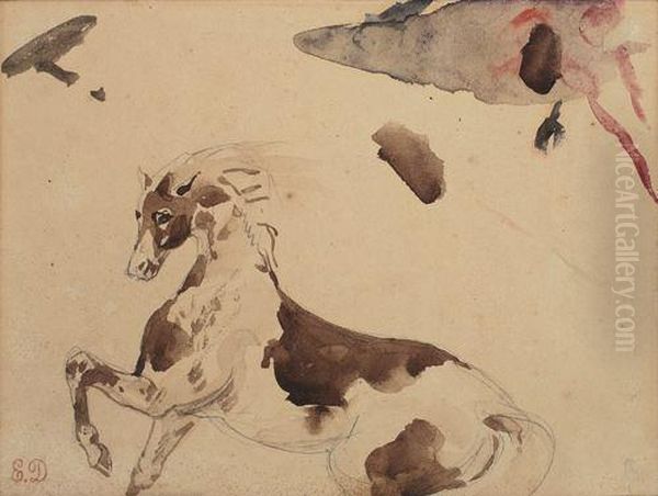 Study Of A Horse - view 1