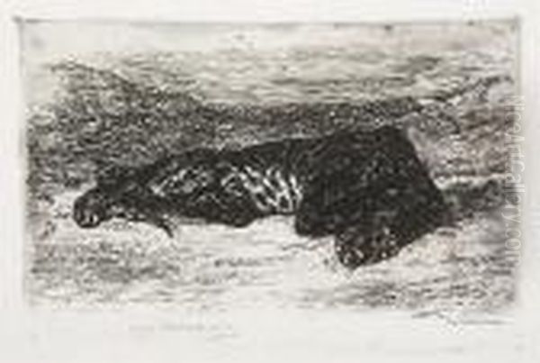 Tigre Couche Dans Le Desert - view 1