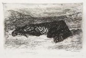 Tigre Couche Dans Le Desert