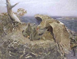 Sea Eagles Nest 1907