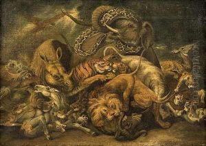 Wild Animals Engaged In Combat