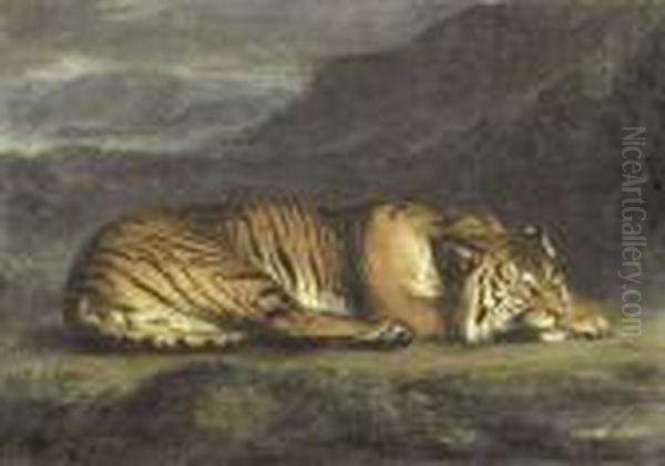 Liegender Tiger. - view 1