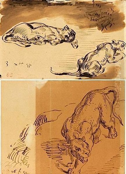 Deux Feuilles Dans Un Montage : Deux Lionnes Et Une Lionne - view 1