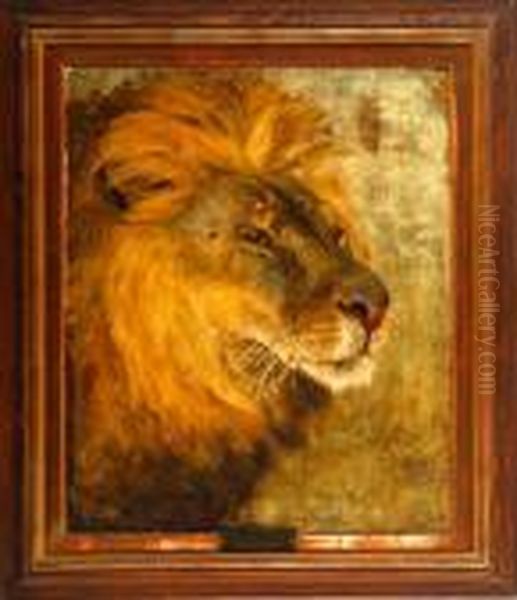 His Style: "tete De Lion" - view 1