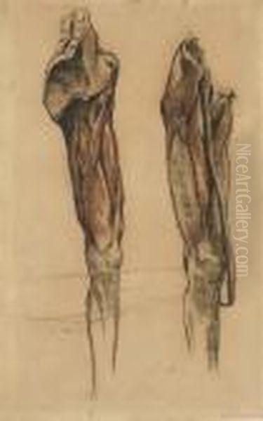 Study Of Two Echorche Legs - view 1