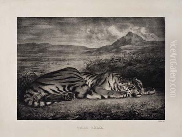 Tigre Royal - view 1