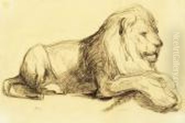 Lion Couche - view 1