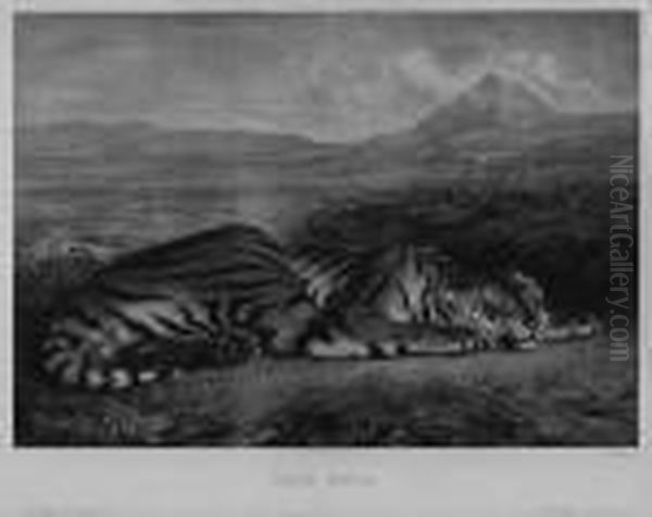Tigre Royal - view 1