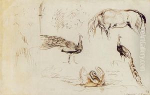A Sheet Of Studies Of Peacocks, A Swan And A Horse