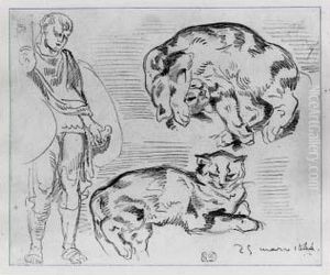 Etude De Chats Et De Jeune Romain