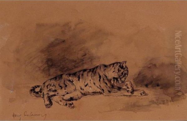 Study Of Tiger - view 1