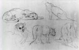 Cinq Etudes De Lionnes by Eugene Delacroix