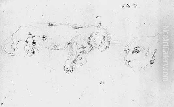 Etude De Lionne Couchee Et Deux Reprises De La Tete - view 1