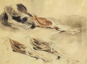Anatomical Studies by Eugene Delacroix