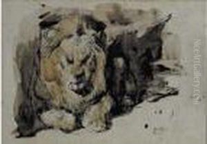 Lion Couche Vu Presque De Face by Eugene Delacroix