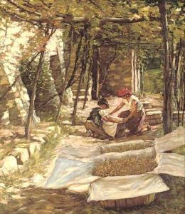 Packing grapes by Henry Herbert La Thangue