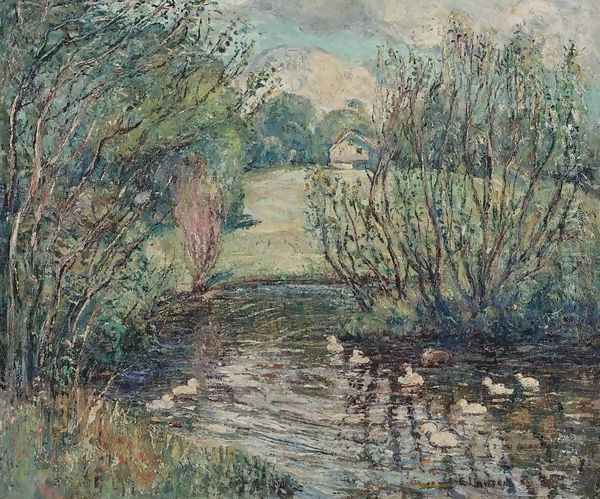 Duck Pond - view 1