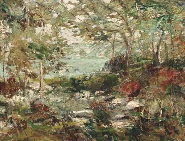 Trees and Rocks - view 1