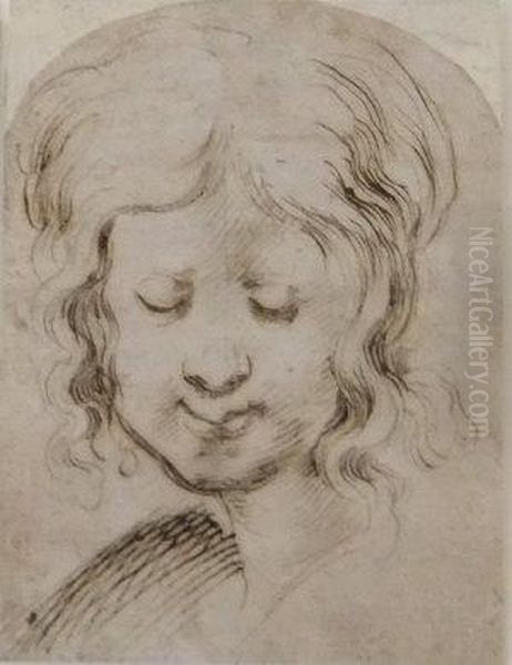 Head Of A Boy - view 1