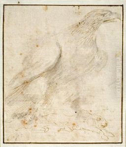 Studie Zu Einem Adler Mit Erlegtem Hasen by Stefano della Bella