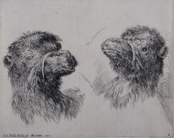 Study Of Two Camel Heads - view 1