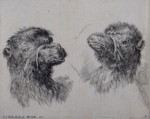 Study Of Two Camel Heads