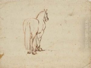 A Horse, Seen From Behind A Horse, Seen From Behind
