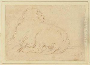 A Recumbent Lion by Stefano della Bella